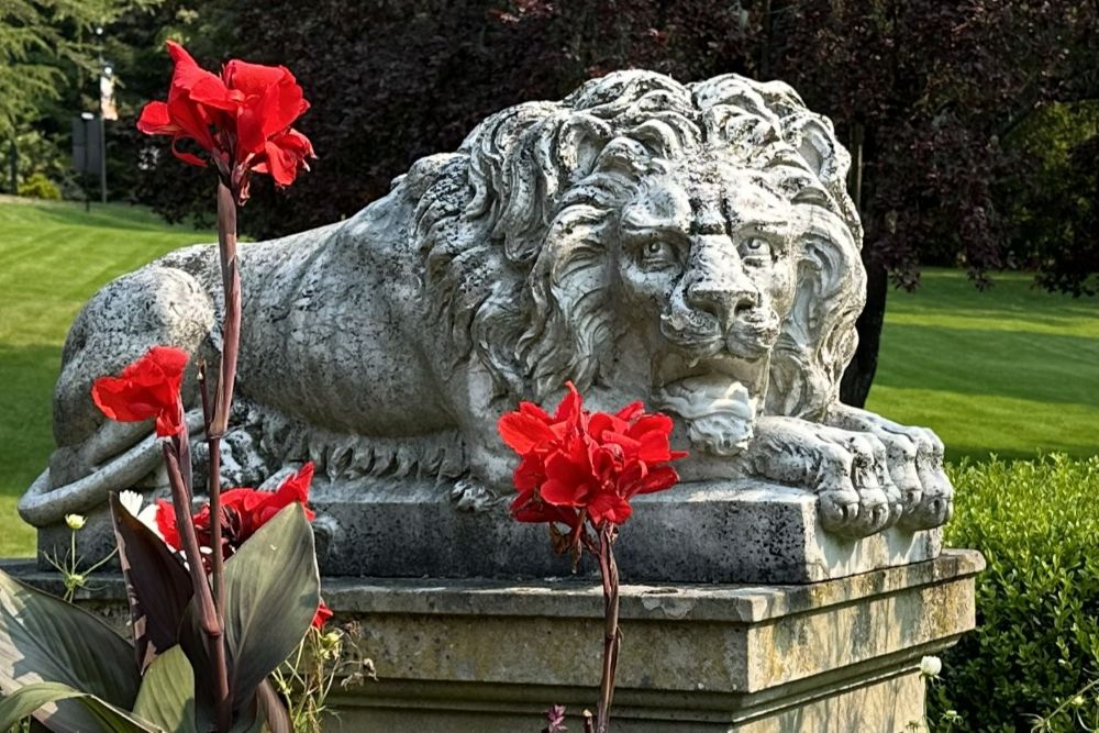 Newsletter sign-up image